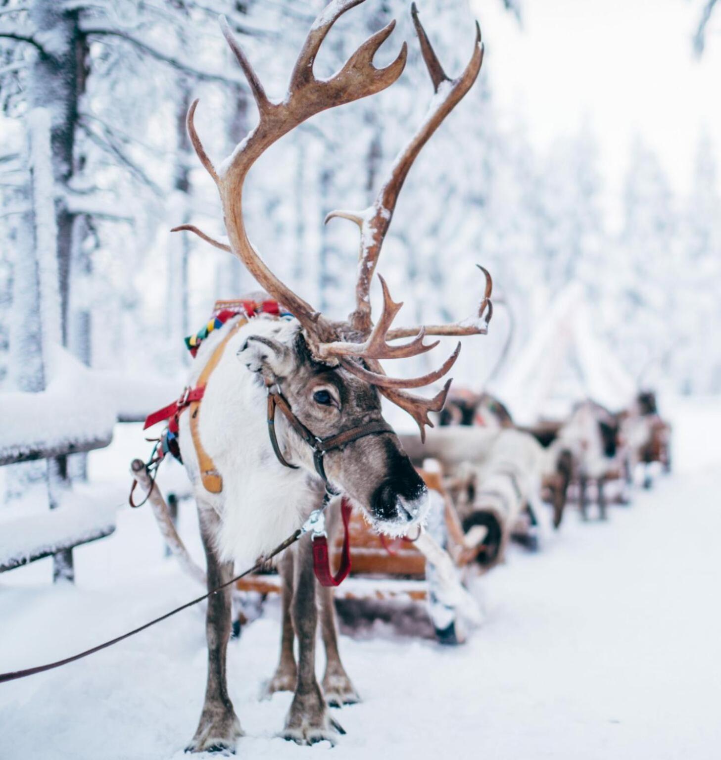 Rovaniemi Studio 32 Муурола Экстерьер фото